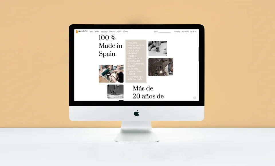 Francés Bañón · Web design and development — image 3