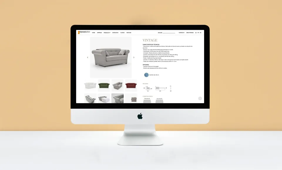 Francés Bañón · Web design and development — image 7