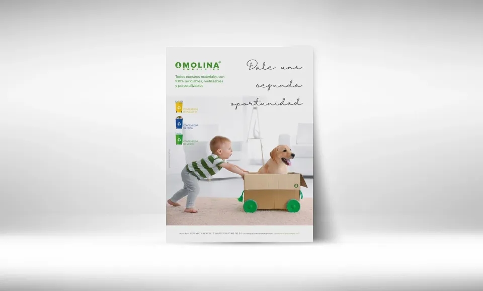 Molina Embalajes · Diseño gráfico — imagen 7